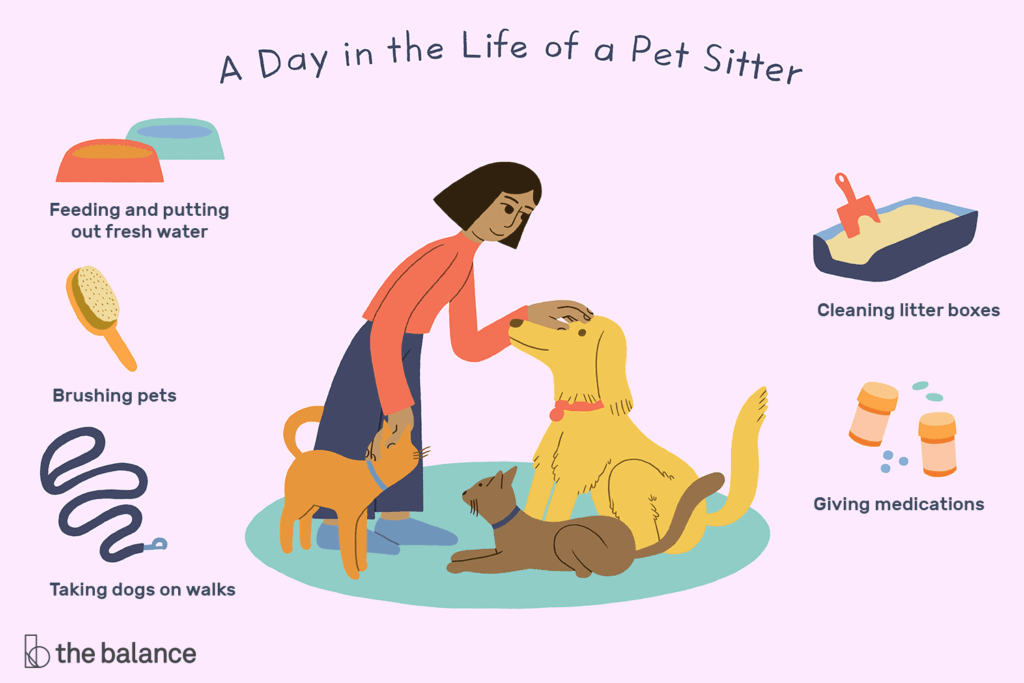 The Life of a Pet Sitter: Exploring the World One Home at a Time