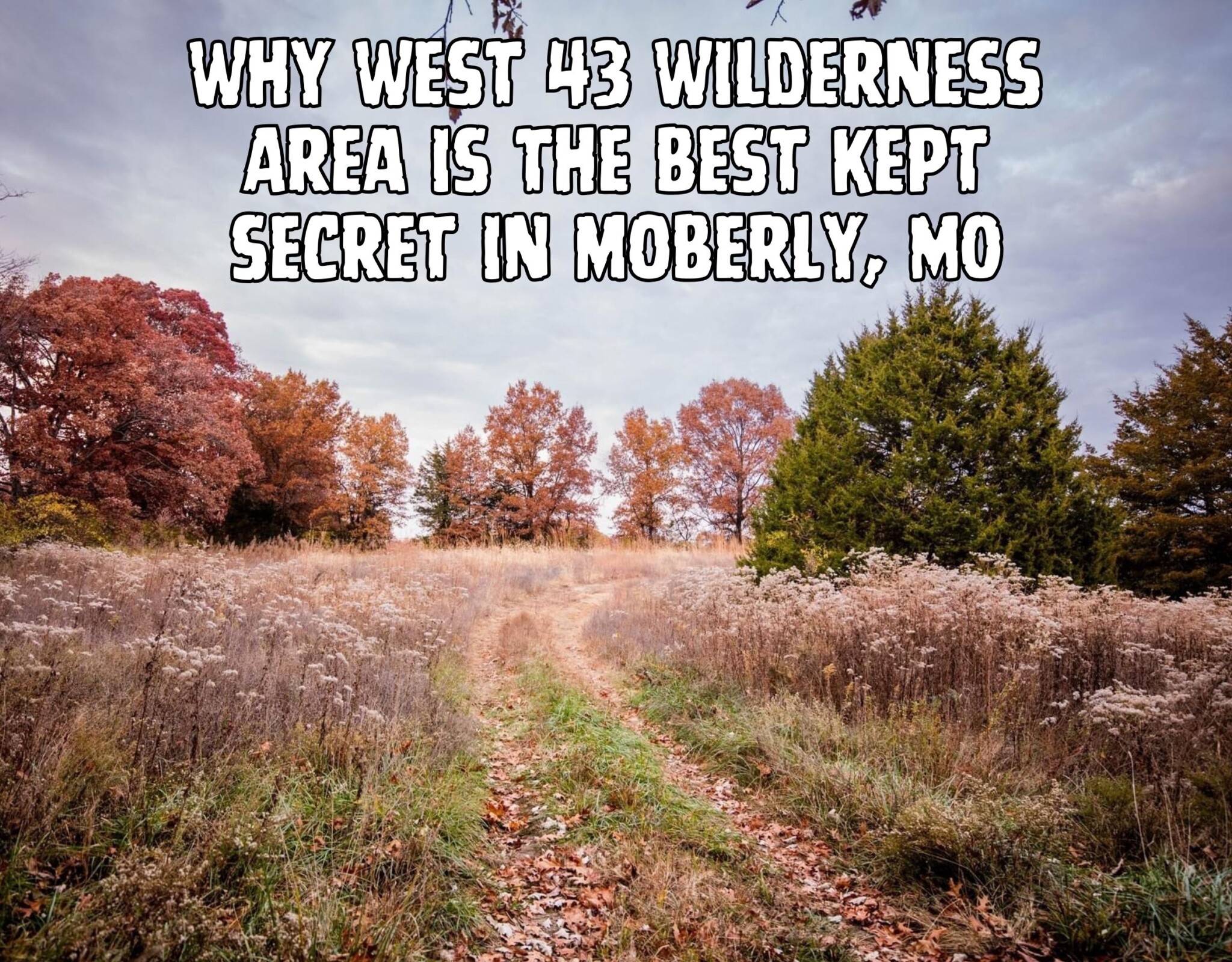 Why West 43 Wilderness Area is Moberly's BestKept Secret Go Discover