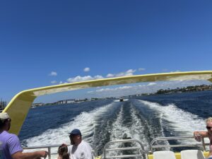 Experience the Best Dolphin Cruise in Panama City Beach on the Sea Screamer