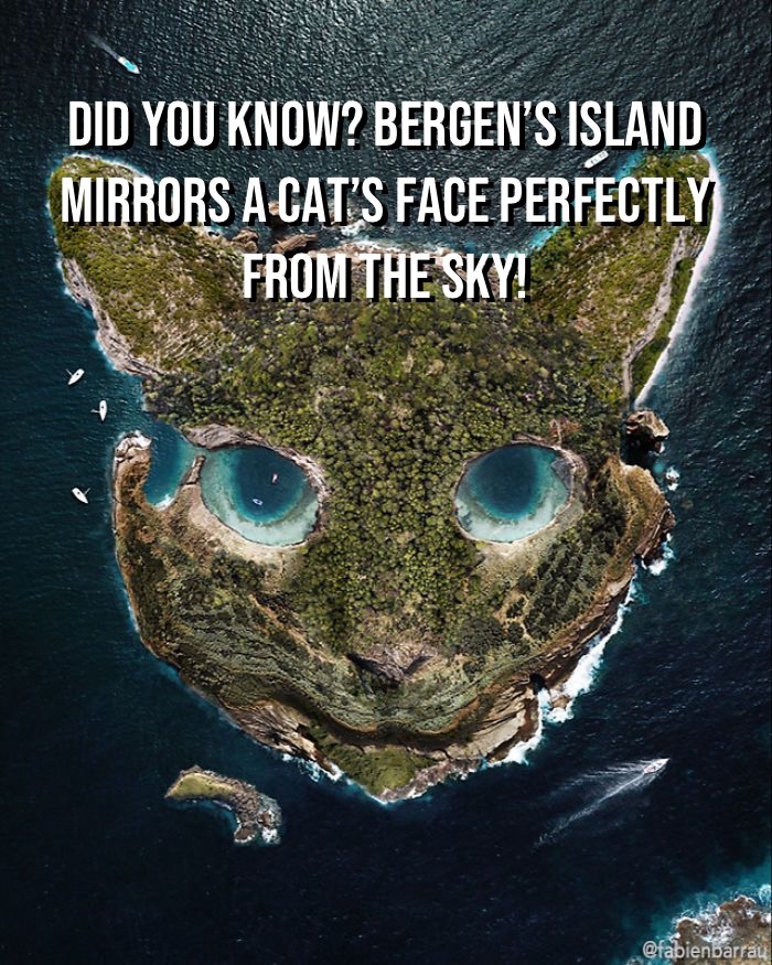 The Cat-Faced Island of Bergen: A Natural Wonder in Norway