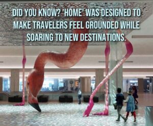 &#8220;Home&#8221; by Matthew Mazzotta: A Must-See at Tampa Airport